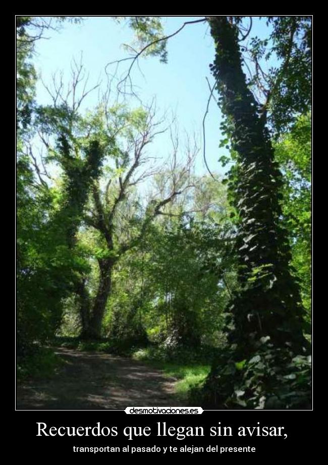 Recuerdos que llegan sin avisar, - transportan al pasado y te alejan del presente