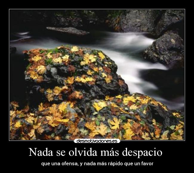 carteles nada desmotivaciones