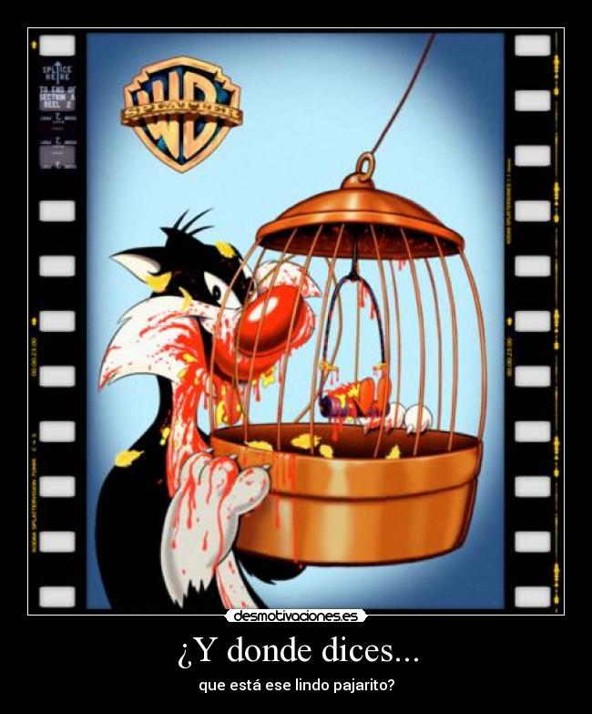 ¿Y donde dices... - 