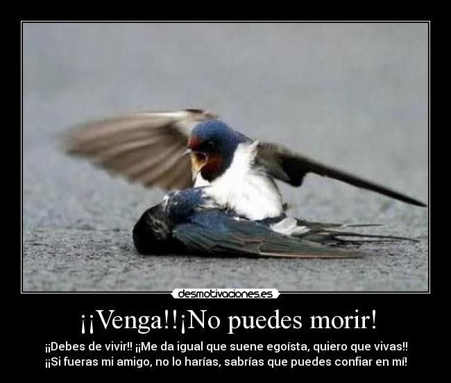 ¡¡Venga!!¡No puedes morir! - 