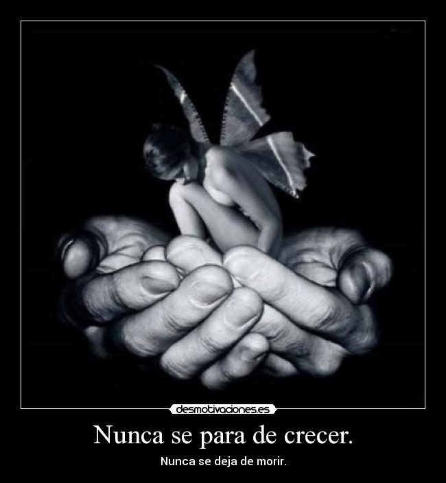 Nunca se para de crecer. - 
