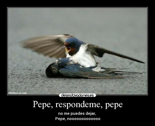 Pepe, respondeme, pepe - 