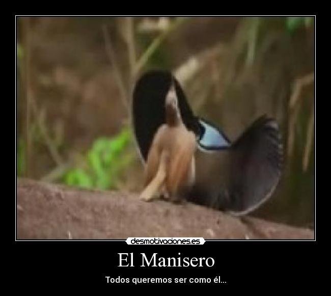 El Manisero -