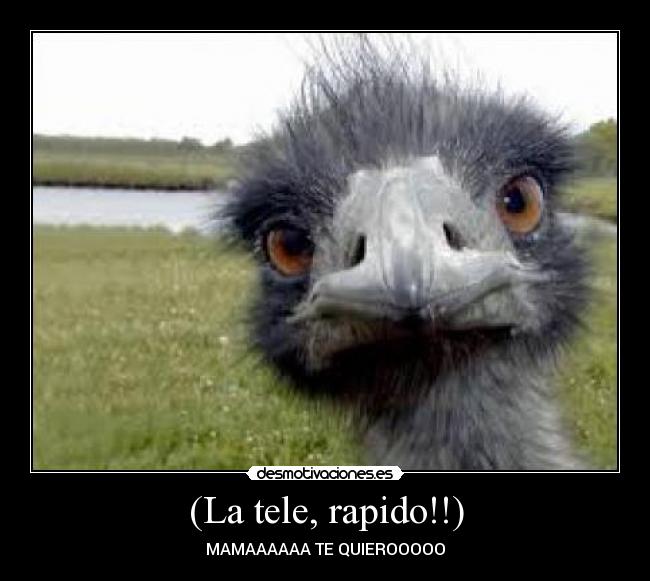 (La tele, rapido!!) - MAMAAAAAA TE QUIEROOOOO