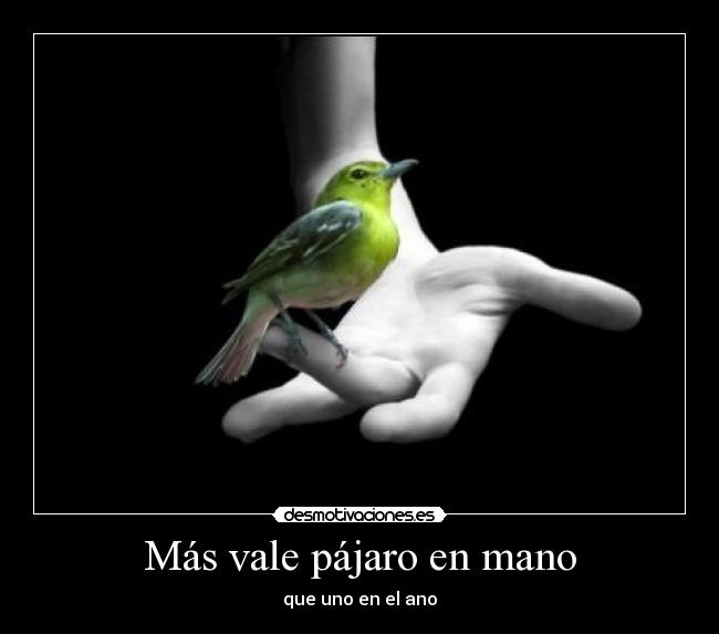 Más vale pájaro en mano - que uno en el ano