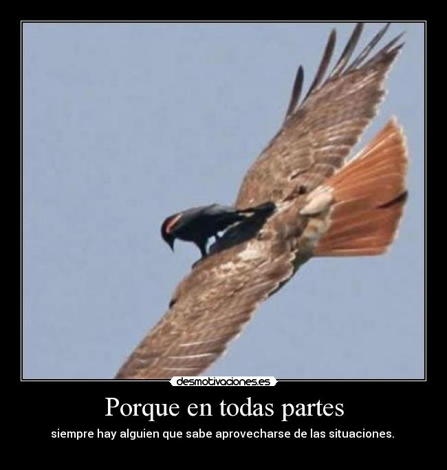 Porque en todas partes - siempre hay alguien que sabe aprovecharse de las situaciones. 
