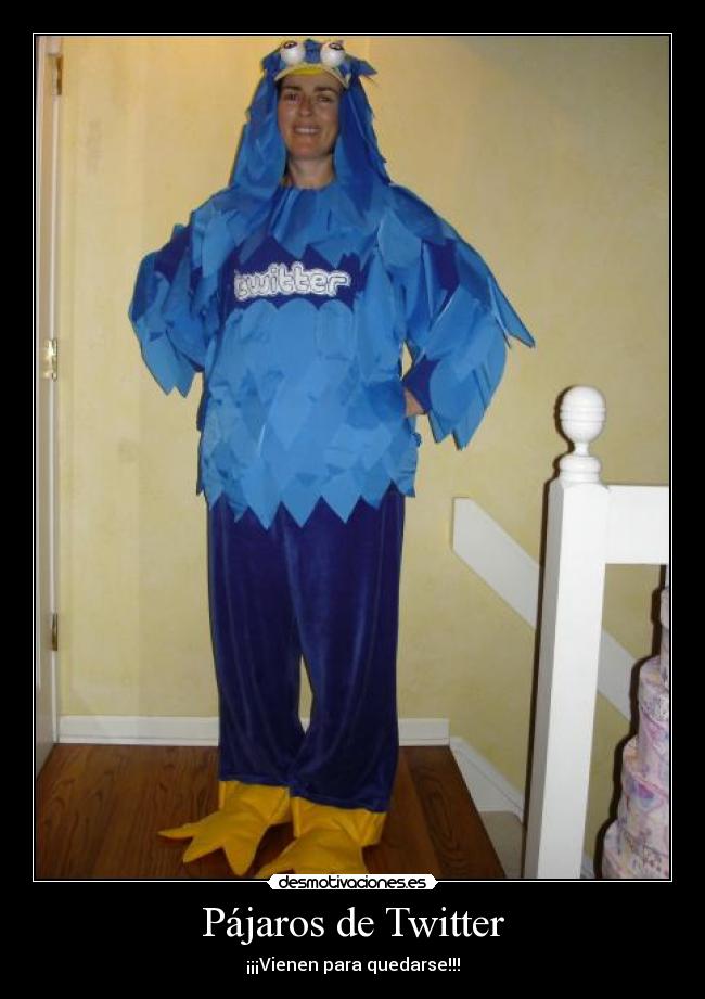 Pájaros de Twitter - ¡¡¡Vienen para quedarse!!!