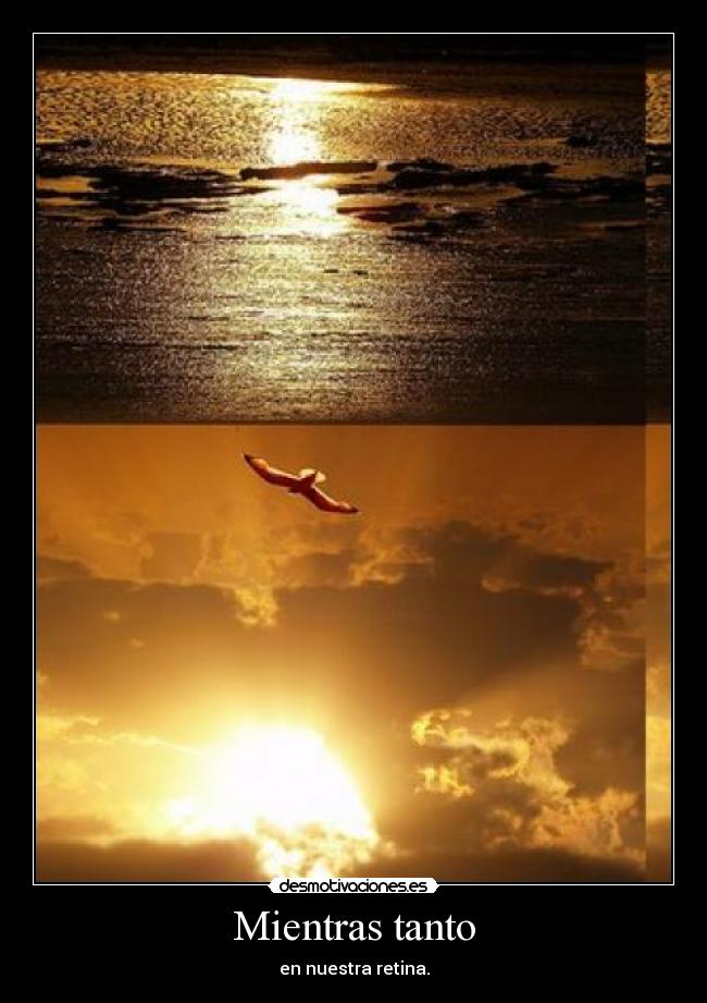 Mientras tanto - en nuestra retina.