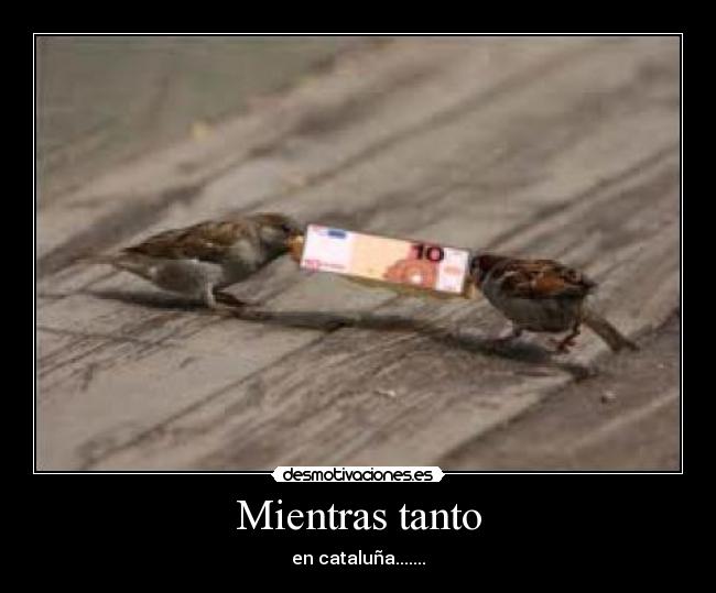 Mientras tanto - en cataluña.......