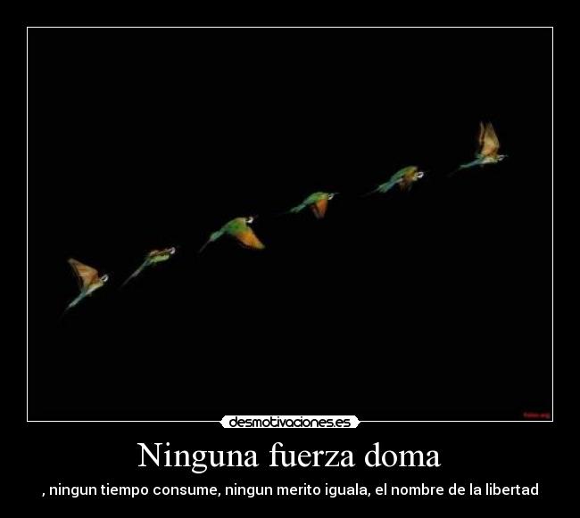 carteles ninguna fuerza doma desmotivaciones