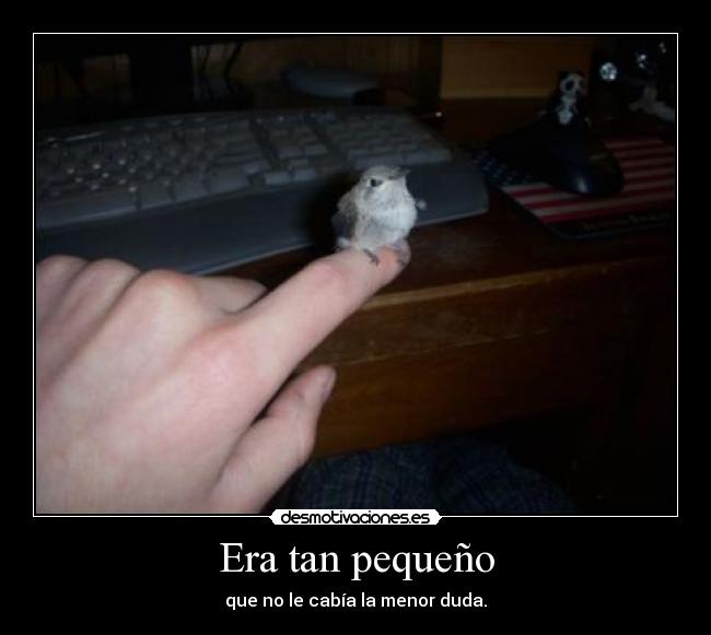 carteles humor desmotivaciones