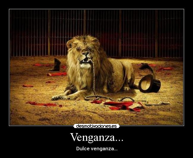 Venganza... - Dulce venganza...