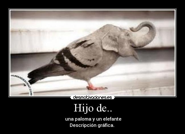 Hijo de.. - 