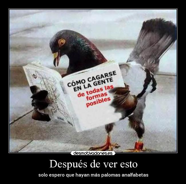 Después de ver esto - solo espero que hayan más palomas analfabetas