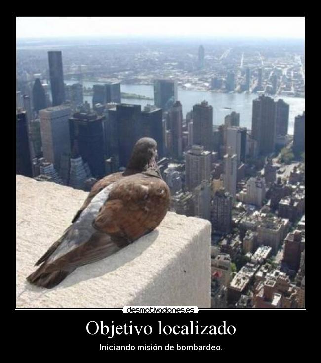 Objetivo localizado -