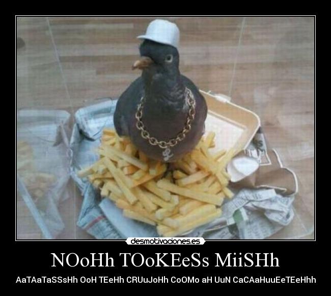 NOoHh TOoKEeSs MiiSHh - PAaTAaTaSSsHh OoH TEeHh CRUuJoHh CoOMo aH UuN CaCAaHuuEeTEeHhh!!!