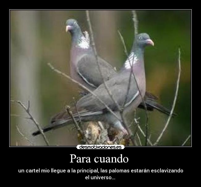 Para cuando - un cartel mio llegue a la principal, las palomas estarán esclavizando el universo...