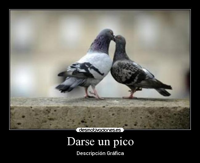 Darse un pico - Descripción Gráfica