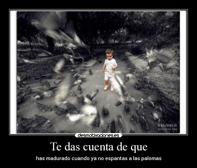 Te das cuenta de que - has madurado cuando ya no espantas a las palomas