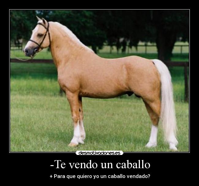 -Te vendo un caballo - + Para que quiero yo un caballo vendado?
