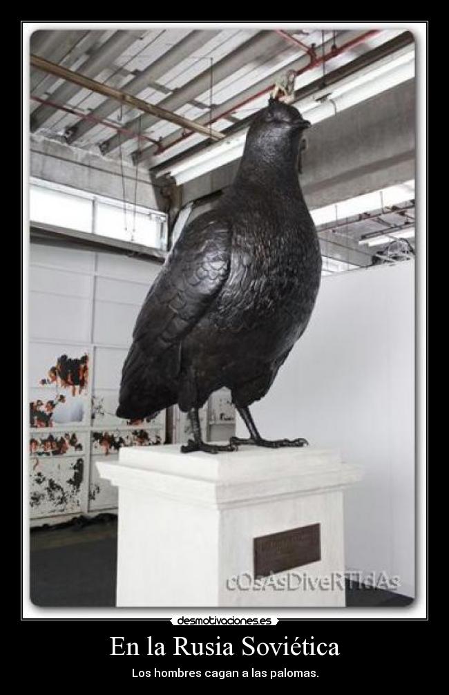 En la Rusia Soviética - Los hombres cagan a las palomas.