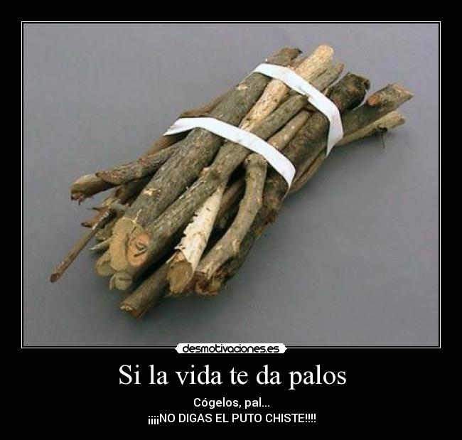 Si la vida te da palos -