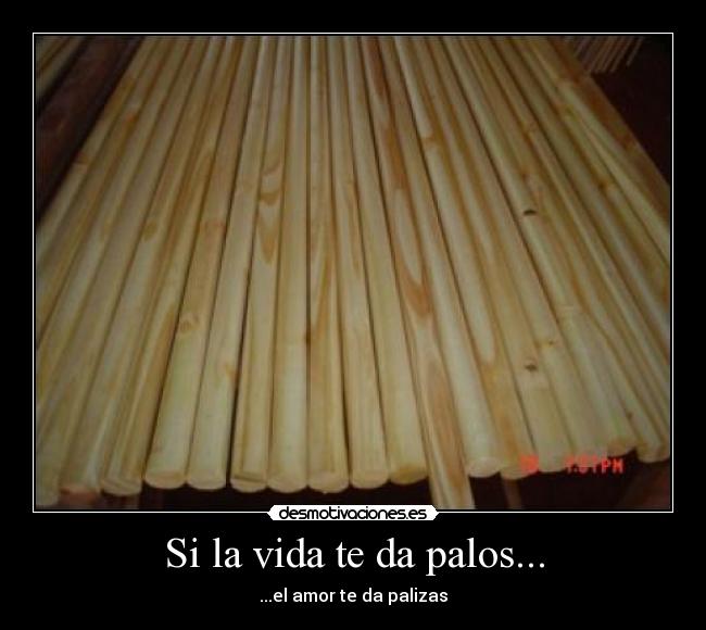 Si la vida te da palos... -