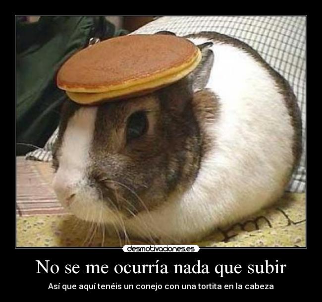 No se me ocurría nada que subir - 