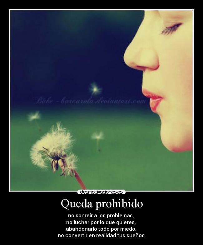 carteles queda prohibido desmotivaciones