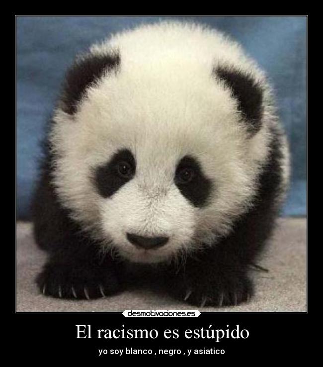 El racismo es estúpido - yo soy blanco , negro , y asiatico