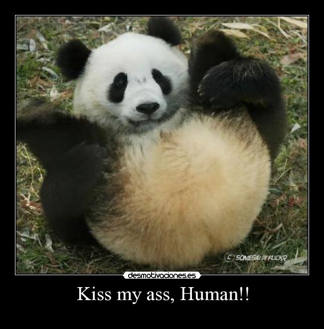 Kiss my ass, Human!! - 