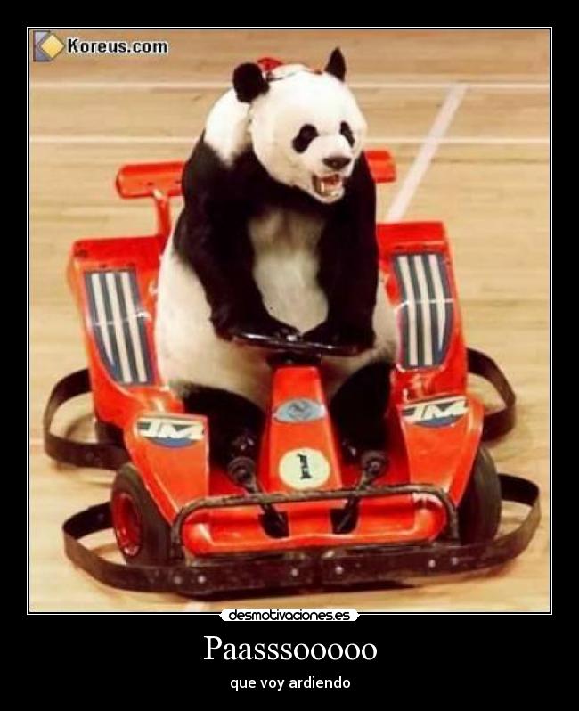 Paasssooooo - que voy ardiendo