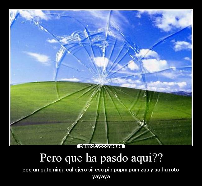 Pero que ha pasdo aqui?? - eee un gato ninja callejero sii eso pip papm pum zas y sa ha roto 
yayaya