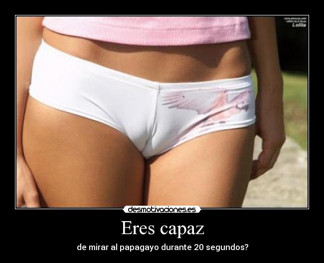 Eres capaz - de mirar al papagayo durante 20 segundos?