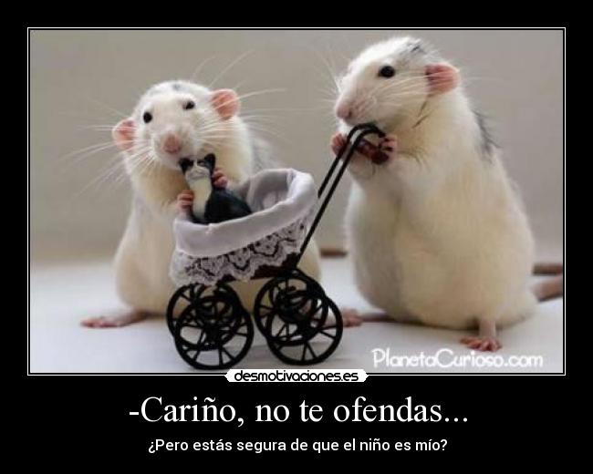 -Cariño, no te ofendas... - ¿Pero estás segura de que el niño es mío?