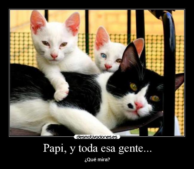 Papi, y toda esa gente... - ¿Qué mira?