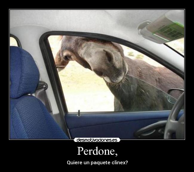 Perdone, - 