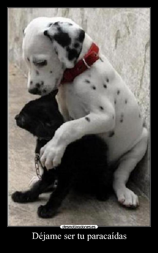 Déjame ser tu paracaídas -