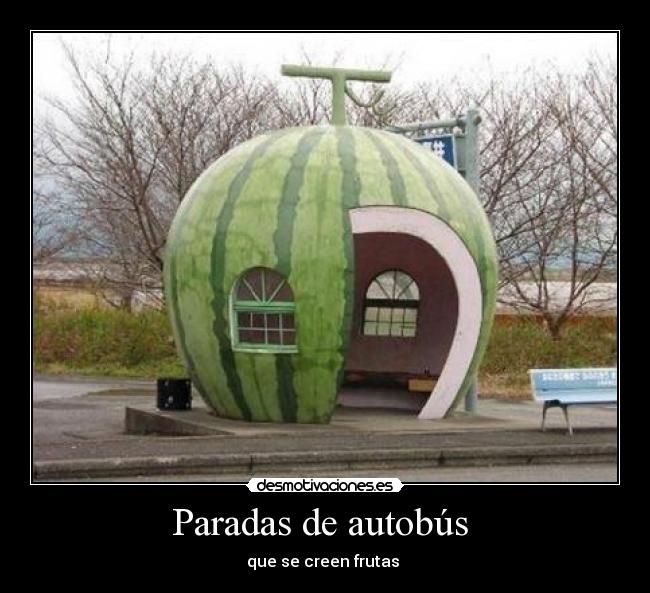 Paradas de autobús -