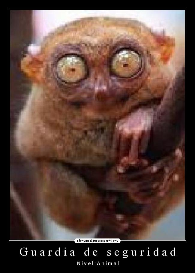 carteles by alexete98 mejor cartel juanbiss desmotivaciones