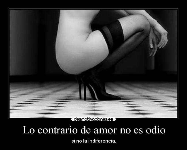 Lo contrario de amor no es odio - 