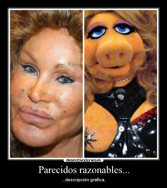 Parecidos razonables... -