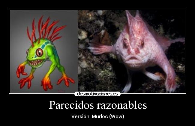 Parecidos razonables - Versión: Murloc (Wow)