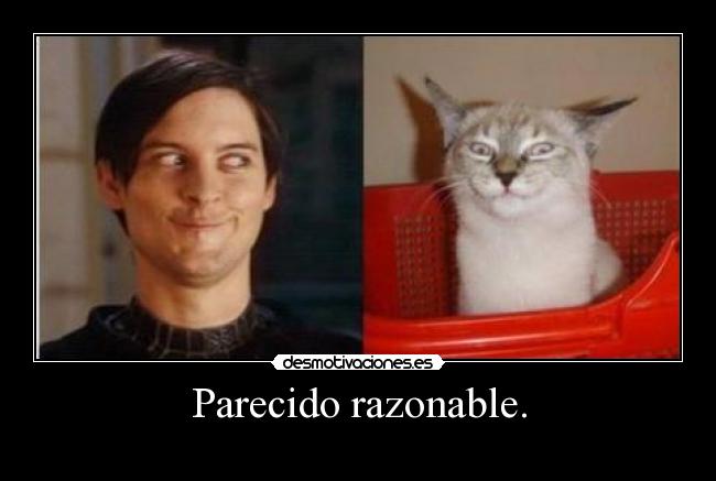 Parecido razonable. -