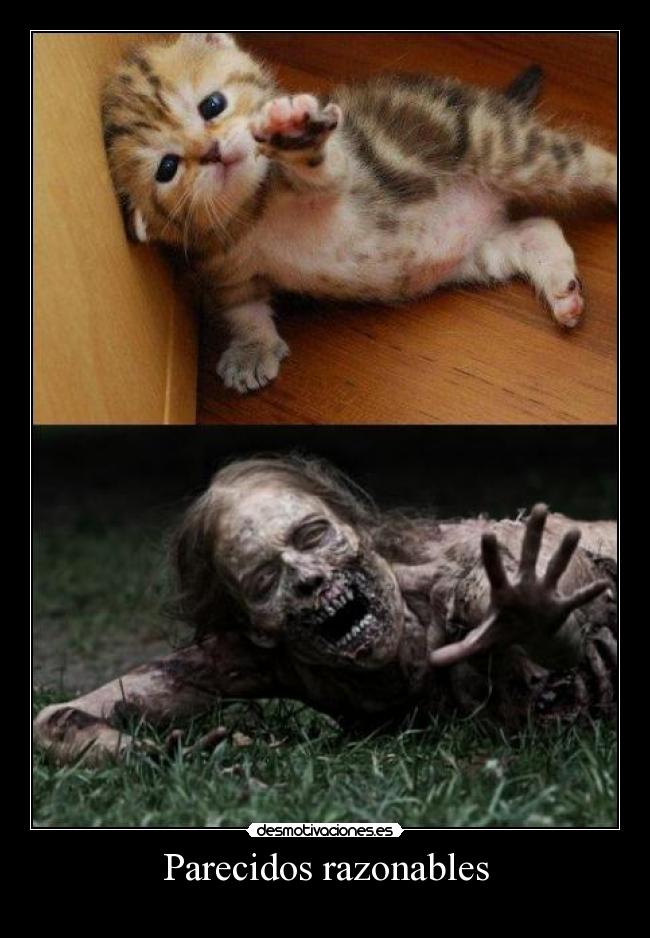 Parecidos razonables -