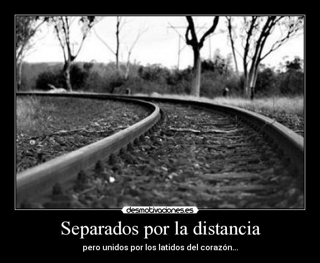 carteles distancia dry desmotivaciones