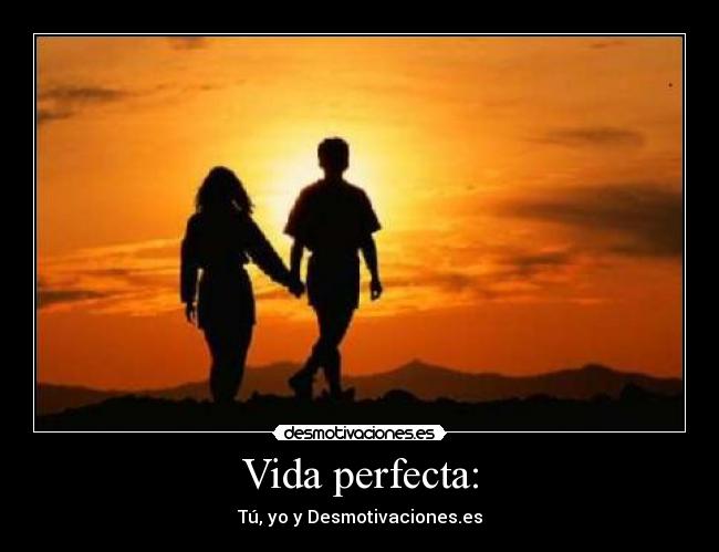 Vida perfecta: -