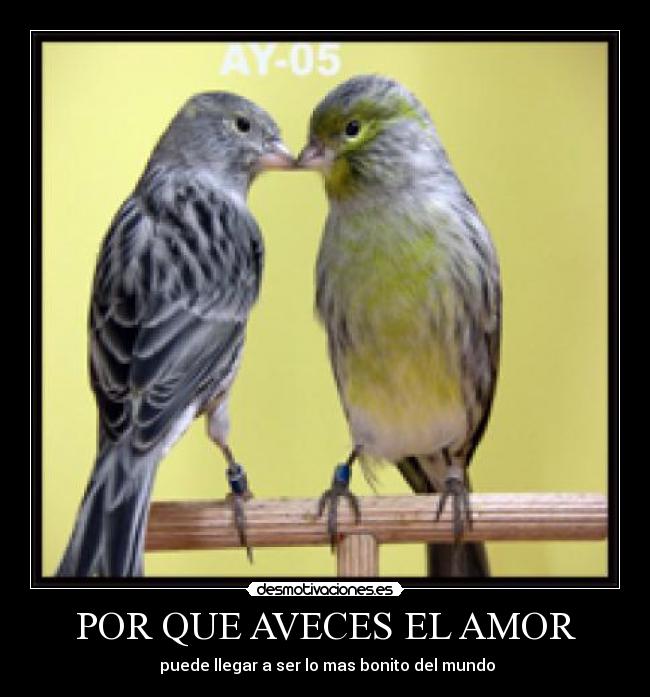 POR QUE AVECES EL AMOR - puede llegar a ser lo mas bonito del mundo
