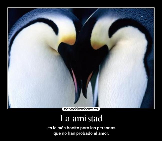 La amistad - 