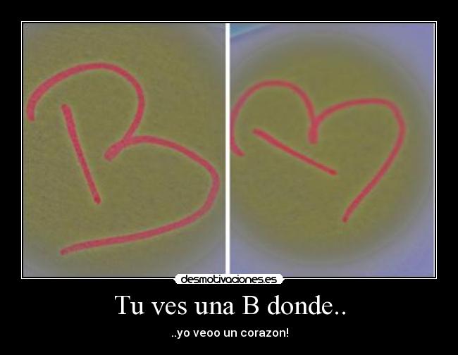 Tu ves una B donde.. - 